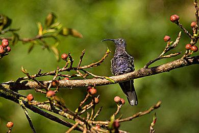 IOI新作《007》总监：《杀手》系列后开发这款游戏很自然